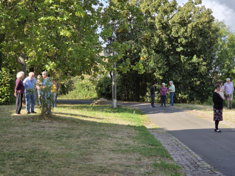 Kleine Gesprächsgruppen stehen verteilt auf einem grünen Gelände im Freien.